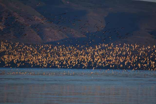 Mono Lake